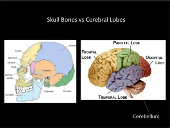 A Review of the JFK Cranial x-Rays and Photographs