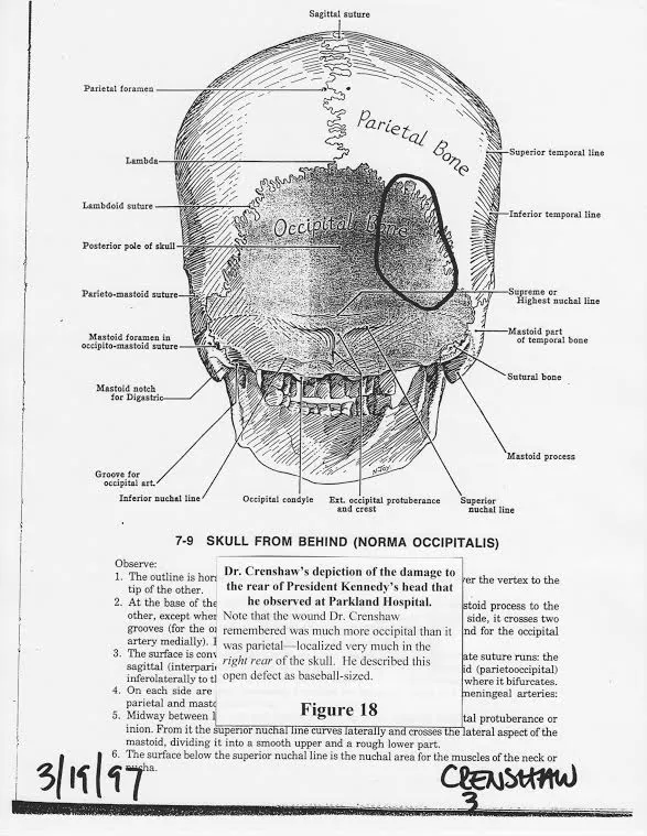 Dr. Charles Crenshaw Description