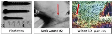 Flechette-neck-wilson